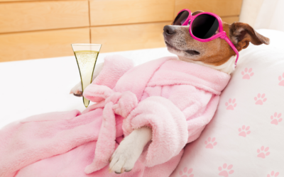 National Relaxation Day: 6 Ways LGC Likes to Relax
