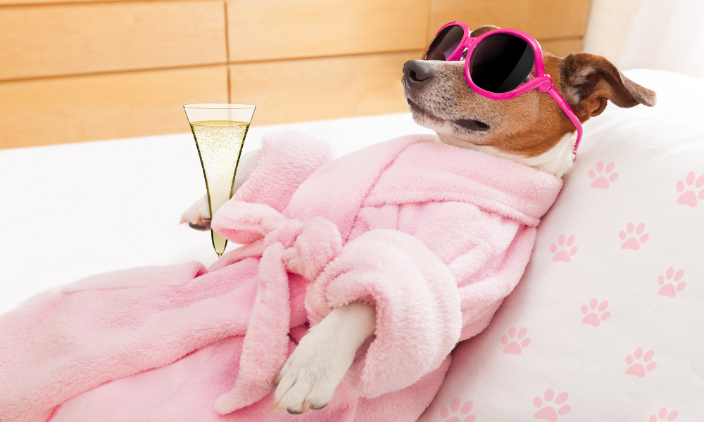 In honor of National Relaxation Day, what’s LGC’s favorite way to relax? 