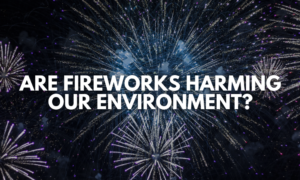 fireworks blog cover image